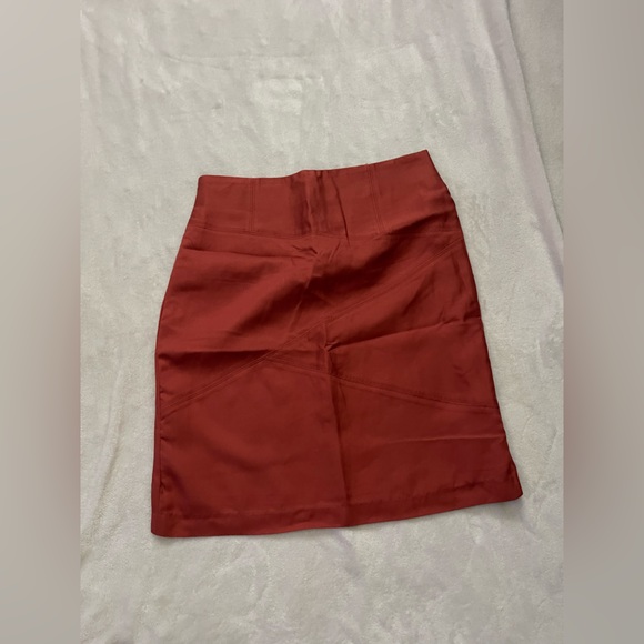 The Limited Deep Rust Pencil Skirt - Picture 1 of 5